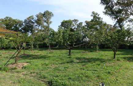 Casa Vacanze Feudi 1165 - Foto 23