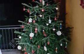 APARTMANI KSENIJA - Foto 23
