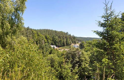 Ferienappartements Steige 3 - Foto 3