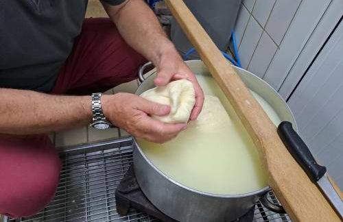 Fattoria Manostalla Villa Chiarelli - Foto 110