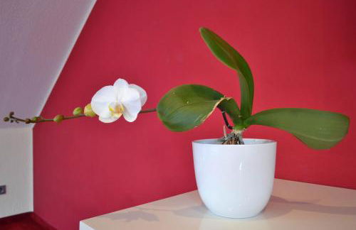 Loft Apartments Pulheim - Photo 9