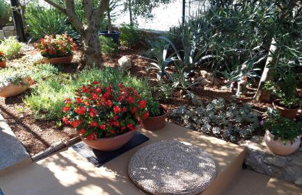 Apartments by the sea Stomorska, Solta - 11298 - Foto 13