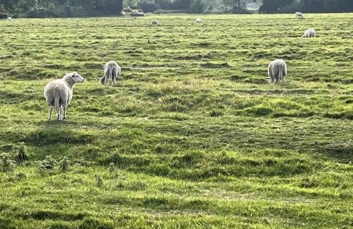 Fern Cottage - Foto 12