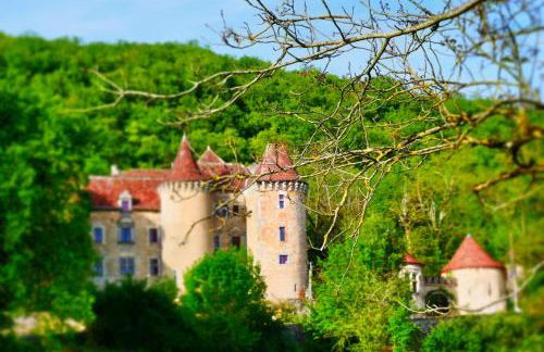 Chateau de Saint Dau - Foto 69