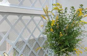 Villa con piscina uso esclusivo - Photo 34