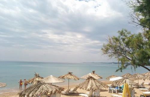 Apartments Katoji - Foto 2