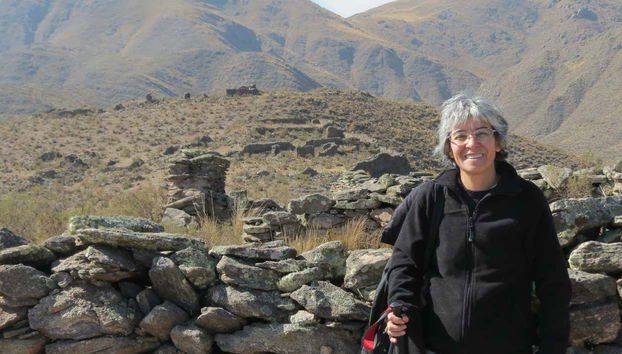 Profitez d'une randonnée à Pucará del Aconquija