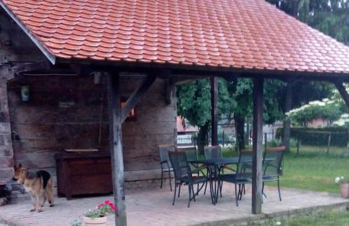 Stara Iža - Foto 15