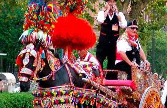 Higgie House - Foto 18