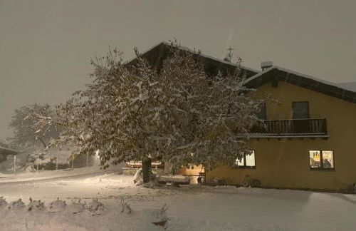 La Vigne de Papagran - Foto 3