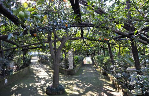 De Gregorio - Foto 9