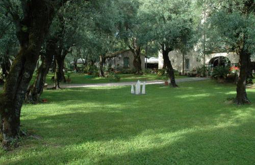 Antico Uliveto - Foto 62