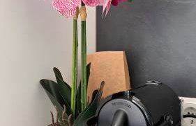 Ferienhaus Lopezan House, Living - Photo 20