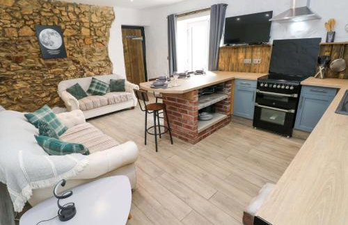 Woodpecker - Photo 3