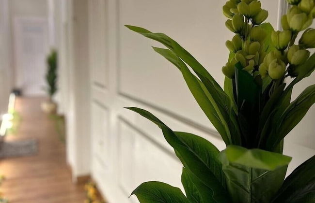 Downtown view studios - Foto 65