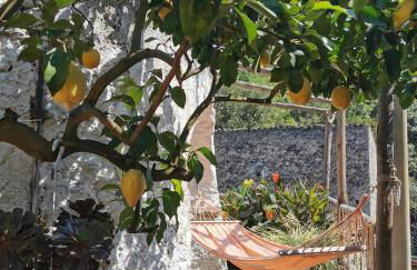 "Lemon Tree House"for Climbers and Mtb - Foto 12