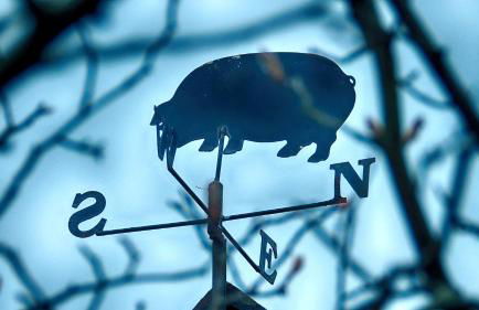 Magnolia Cottage - Foto 29