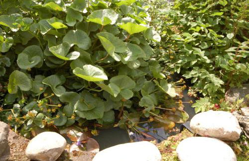 South Side - Foto 18