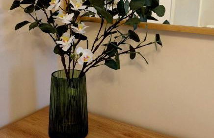 ESQUÍ PIRINEO ARAGONÉS APARTAMENTO EL JUNCARAL Wifi - Photo 15