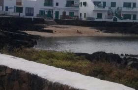 Brisamarina de Órzola - Foto 14