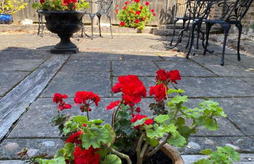 Pier View Self Catering Luxury Apartments - Foto 40