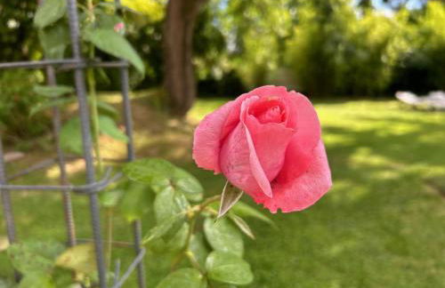 LE REPAIRE DU CLAIN gîte 4 étoiles pour 14 personnes avec piscine proche du Futuroscope - Foto 27