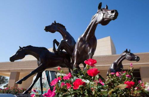 Best Location in CS! Amazing Apartment - Foto 13