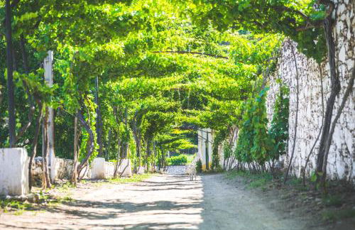 Quinta do Valdalágea - Foto 48