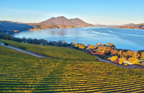 Vineyard Setting With 180 Panoramic Lake Views - Foto 6
