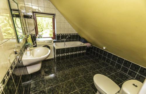 Jaworowy Stok z widokiem na góry i ogrodem - Foto 22