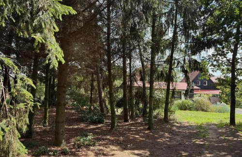 Apartamenty i Winnica - Siedlisko Na Polanie - Foto 22