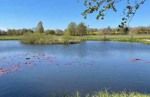 Apartment Nelke by Interhome - Foto 22