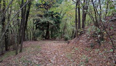 123 la casa nel bosco - Foto 5