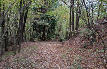 123 la casa nel bosco - Foto 5