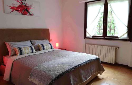 Prato Verde - Girasole - Foto 51