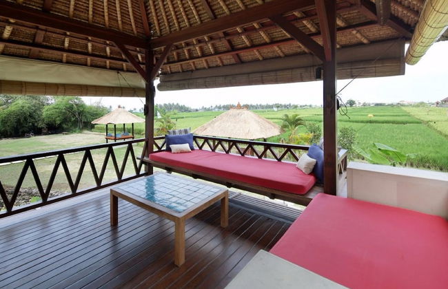 Tamu Seseh - Photo 15