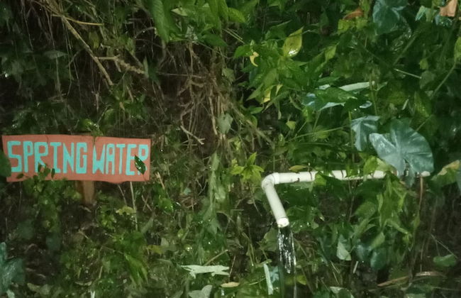 Berkey's Jungle Paradise - Photo 77