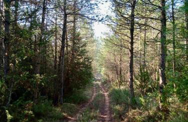 Mas d'en Roy - Foto 6