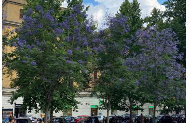 Testaccio historic house - Foto 67