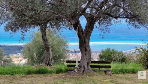 Agriturismo Serre - Foto 5