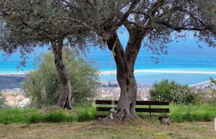 Agriturismo Serre - Foto 5