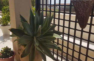 Guest House Adele - Foto 4