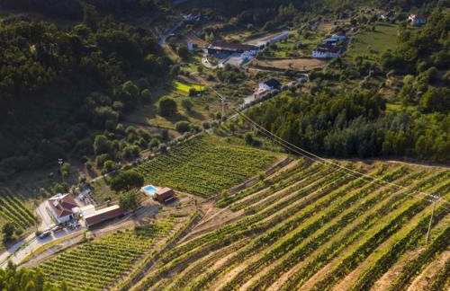 Quinta da Aldeia Nova - Foto 1