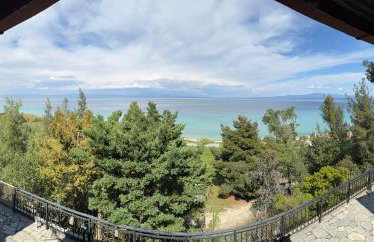 Wooden Harmony - Photo 22