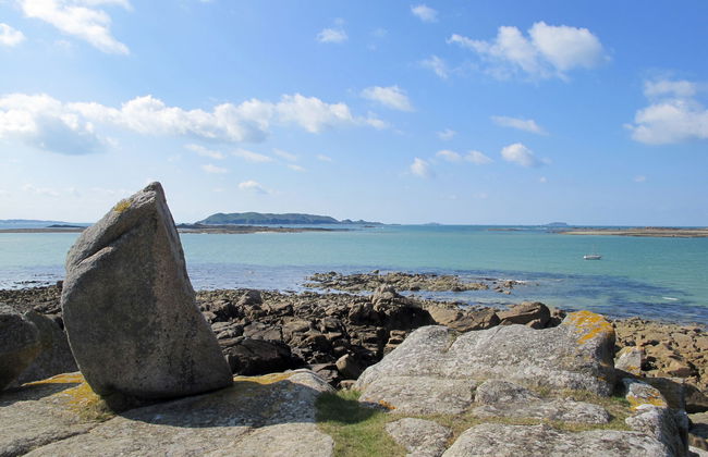 Les Hortensias - Foto 27