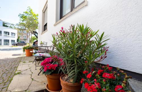 CASA Dersim - Foto 14