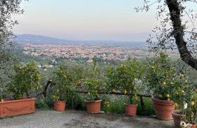 Oliveto Tuscany - Foto 14