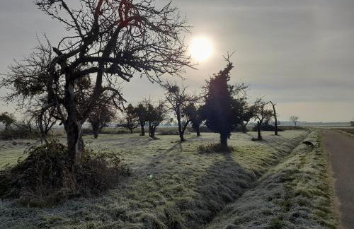 Badischer Neubau-Ruhe-Kunst-Natur - Foto 11