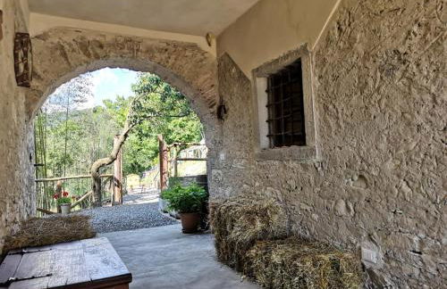 Agriturismo Fattoria didattica Il Macereto - Foto 12