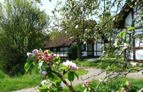 Ferienhaus Deichgraf 86 im Feriend - Photo 1